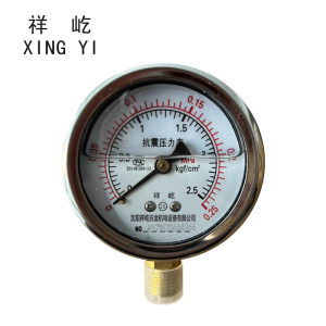 祥屹+耐震压力表检测定制型+YTN60+块