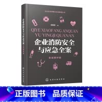 [正版]企业安全健康与应急管理丛书 企业消防安全与应急全案 实战精华版 消防设施配备管理 企业经营与管理 书籍 凤凰书店