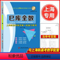 数学 上海 [正版]巳库全数上海新高考数学一轮复习用书典型例题+双基练习精练+参考答案详解上海新高考高三数学总复习上海社
