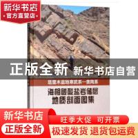 正版 塔里木盆地寒武系—奥陶系海相碳酸盐岩储层地质剖面图集 张