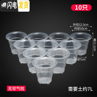三维工匠蝴蝶兰控根花盆透气明塑料胶树脂陶瓷洋兰石斛专用盆 [10只]口径10cm无空气柱 中等花盆容器