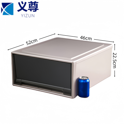 义尊 整理箱 54L 个