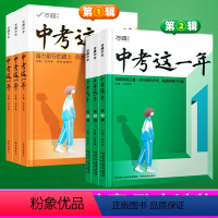 [陪伴篇+奋斗篇+成长篇]全3本 初中通用 [正版]2024这一年中学生必读青春励志书籍学习方法青少年成长故事好书初中课