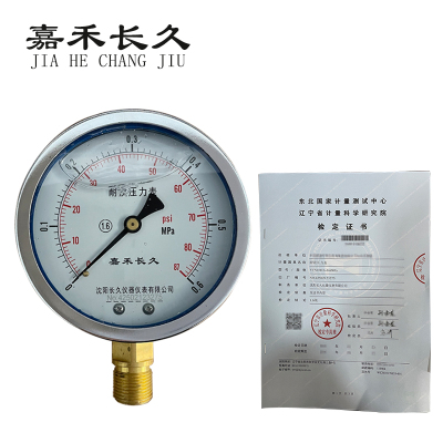嘉禾长久 耐震压力表(带辽宁省级检定证书) YTN100 块