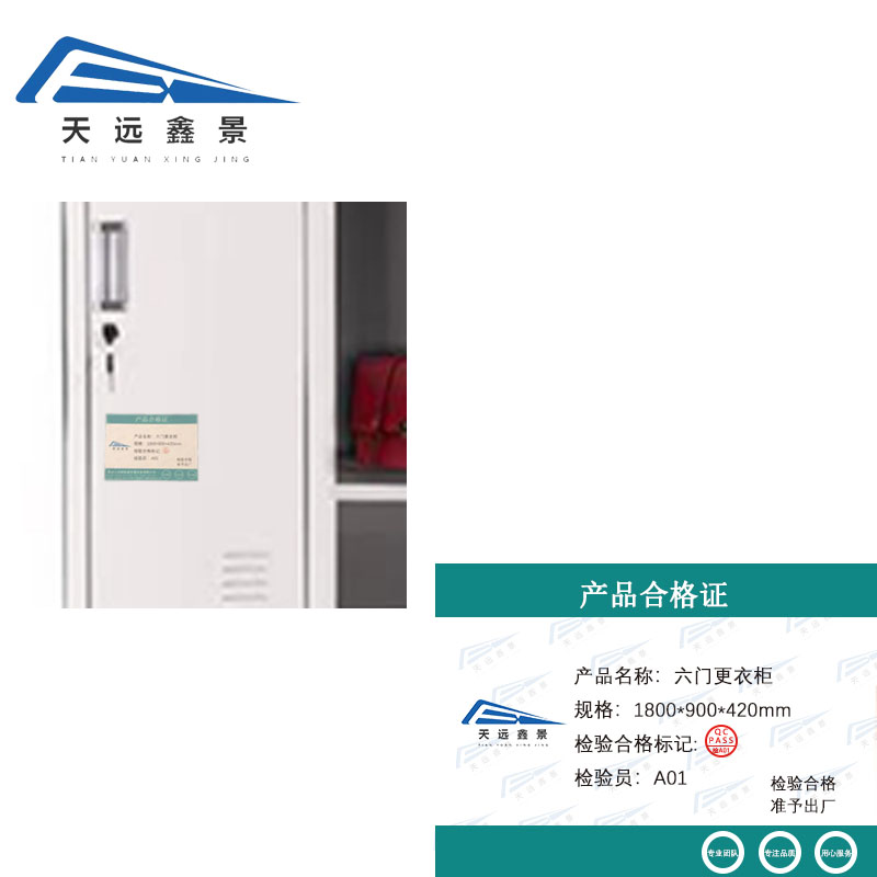 天远鑫景 六门更衣柜 高1800*宽900*深度420mm 个