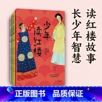 少年读红楼(第一辑,全4册) [正版]7-14岁钱儿爸少年读红楼 第一辑全4册 儿童青少版红楼梦 超级故事 用孩子喜欢