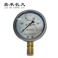 嘉禾长久/耐震压力表/YTN100 /个