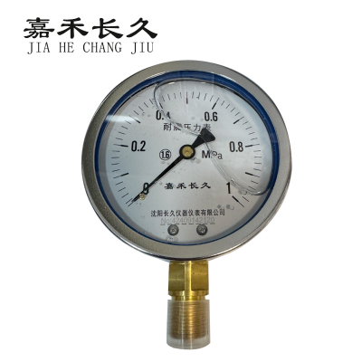 嘉禾长久/耐震压力表/YTN100 /个