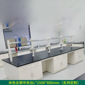东升顺全钢实验台钢木PP边台柜试验台化验室工作台实验室桌操作台定制(每米单价)