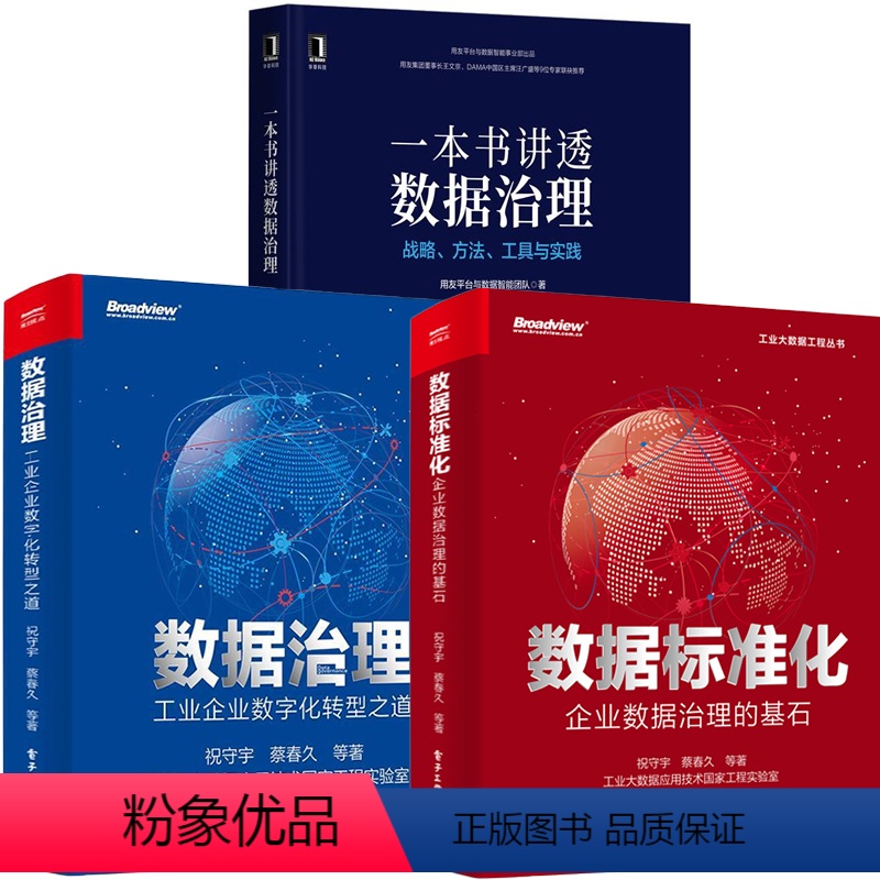 [正版]全3册数据标准化企业数据治理的基石+一本书讲透数据治理战略方法工具与实践+数据治理工业企业数字化转型之道数据资