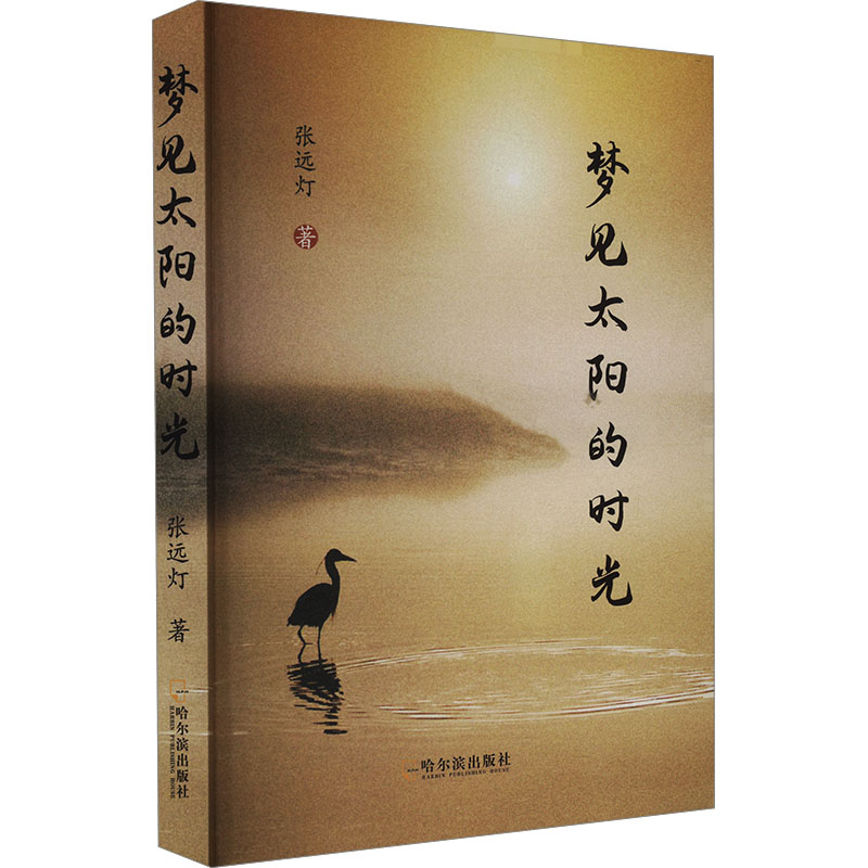 正版新书]梦见太阳的时光张远灯 著9787548477143