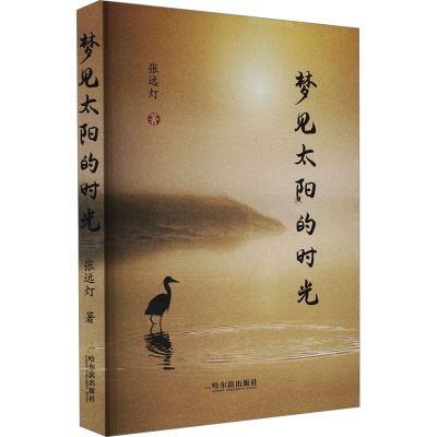 正版新书]梦见太阳的时光张远灯 著9787548477143