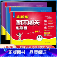 [期末闯关必刷卷]语数英人教版[3本套装] 三年级上 [正版]24秋小学实验班期末闯关必刷卷一二三四五六年级上下册语文数