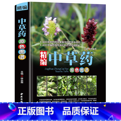 [正版]精编中草药原色图谱 中草药全图鉴彩图草药大全书 中国中草药材功效常见病治疗草药识别应用原色图片 中医基础理论调