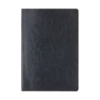 齐心 C5867 软皮皮面本A5 96张 黑 一本