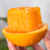 [中华特色馆]秭归馆 一苇农佳 秭归脐橙四季时令鲜橙5斤纸箱装(65-70mm)中果 产地直发 新鲜采摘 华中