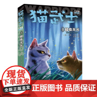 猫武士六部曲暗影幻象4极夜无光正版动物小说陪伴孩子成长励志故事书籍8-12岁儿童冒险奇幻故事小学生三四五六年级中国少