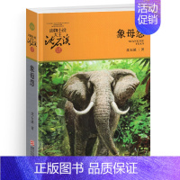 象母怨 [正版]第七条猎狗沈石溪小学四年级五年级全集全套书浙江少年儿童出版社版完整版动物小说大王品藏书系学生课外阅读经典