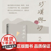 新民说 沙漠与沙 赵毅衡 著 中国当代小说