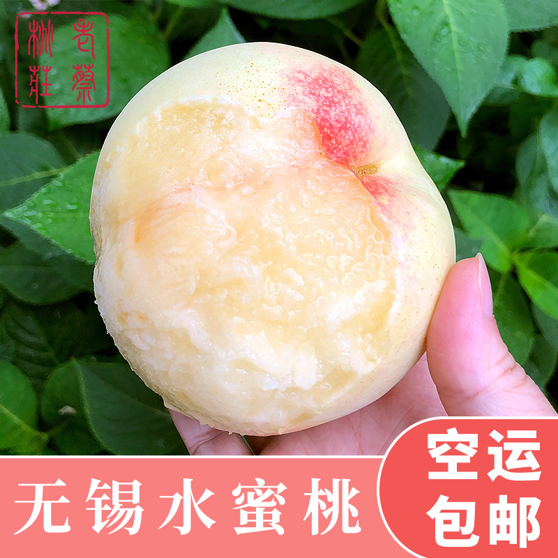 空运发货 江苏无锡水蜜桃 阳山镇老蔡桃庄 可撕皮滴水软桃 新鲜水果 单果8-9两 8只装 礼盒