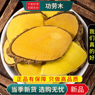 甄选功劳木100克干货功劳木土黄连黄藤刺黄柏功劳木片9260