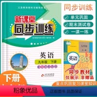 英语 九年级下 [正版]初中英语新课堂九年级下册同步训练PEP同步课堂辅导人教版专项训