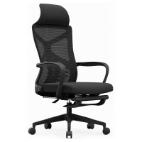 初嘉(CJ)BGY-24人体工学椅电脑椅撑腰办公椅家用老板椅电竞椅靠背转椅座椅