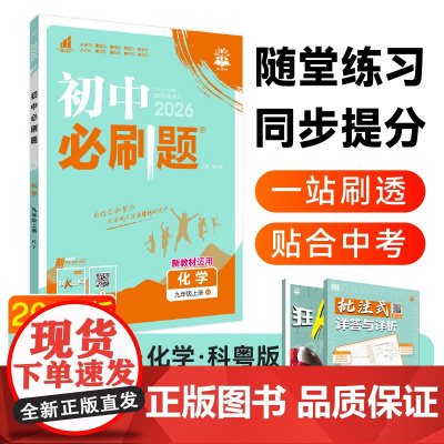 2025秋初中必刷题 化学九年级上册 KY
