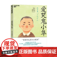 爱哭鬼小隼 河合隼雄 著 儿童文学