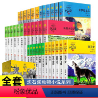 [全36册]沈石溪动物小说品藏书系列 [正版]沈石溪动物小说品藏书系列全集36册狼王梦斑羚飞渡后一头战象雪豹悲歌混血豺王