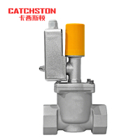 卡西斯顿 防爆电磁阀 常闭螺纹DN25 个