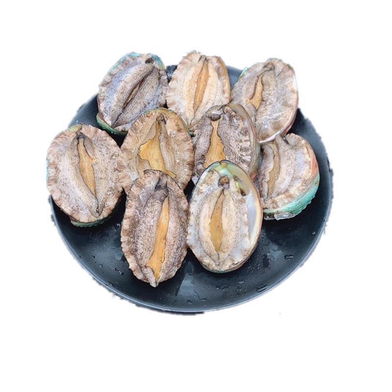 赛卡伊 福建海捕新鲜鲍鱼鲜活冷冻海鲜水产佛跳墙中高端食材 海捕鲍鱼