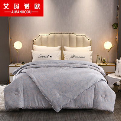 艾玛诺欧家纺摩卡绒二合一拉链子母被加厚冬被保暖秋冬被双人春秋被绗缝被子纤维被芯雅典娜-浅蓝S200*230cm4.5+5.5斤-