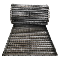 盛京路龙博 传送链板 SIC白钢350-26.4 米