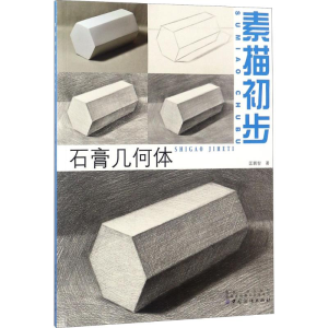 醉染图书素描初步97875180419