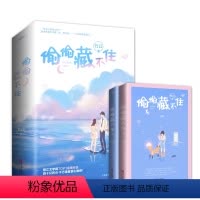 [正版]偷偷藏不住小说实体书全套竹已全二册青春文学书校园言情女奶油味暗恋难哄博文轩图书 赵露思陈哲远主演电视剧同名