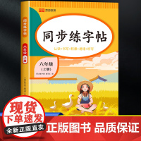 六年级上册练字帖每日一练人教版部编版 小学6上学期的语文同步字帖练字小学生专用写字课课练生字抄写本生字贴描红控笔训练钢笔