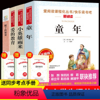 [正版]4册小英雄雨来六年级读原著完整版 高尔基的童年书籍 爱的教育亚米契斯帽子的秘密书三年级四年级阅读课外书目读