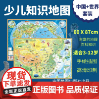 DT少年儿童中国和世界知识地图套装 全新升级版 高清印刷 办公教学家庭 加厚不反光 中国地图出版社 少儿地理科普挂图
