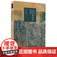 历史深处的忧虑(四版)——近距离看美国之一