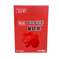 龙仕康 LSKa5-70 打印纸 复印纸 70G 500张/包 10包/箱