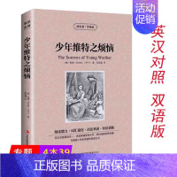 [正版]4本39少年维特之烦恼读名著 学英语中英文英汉对照双语读物英语原著原版歌德小说读物全英版世界名著初中生高中生课外