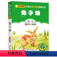 兔子坡 [正版]木偶奇遇记注音版三年级二年级课外书班主任老师推 荐一年级课外阅读书籍小学生必读经典书目6-8周岁儿童文学