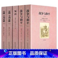 [正版]列夫托尔斯泰小说全集(全5册)全译本无删减 安娜·卡列尼娜 复活 战争与和平和平 世界名著 当代文学小说 书籍套