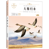 [M]大雁归来-9787558553141