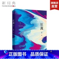 [正版]狂流 二湘 文学/当代/长篇小说 图书