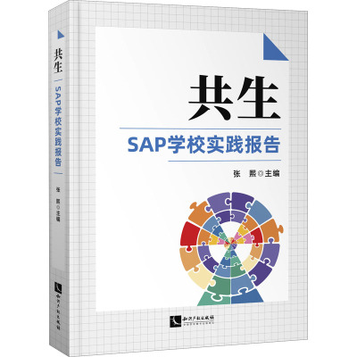 共生:SAP学校实践报告2020