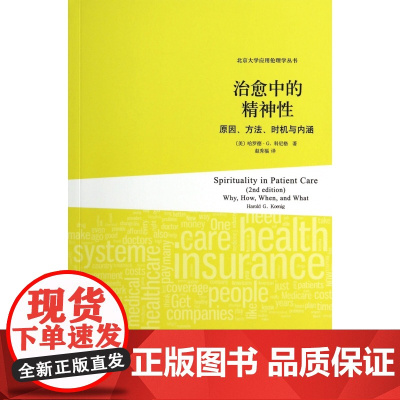 治愈中的精神性(原因方法时机与内涵)/北京大学应用伦理学