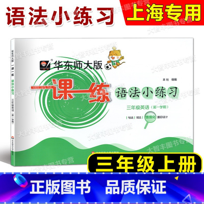英语 三年级上 [正版]2023华东师大版 一课一练语法小练习 英语N版 三年级第一学期/3年级上 上海牛津版英语配套教