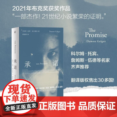 承诺 达蒙 加尔格特 如海浪翻涌 如镜头游移 讲述一家一国的命运与前途 外国小说 广西师范大学出版社